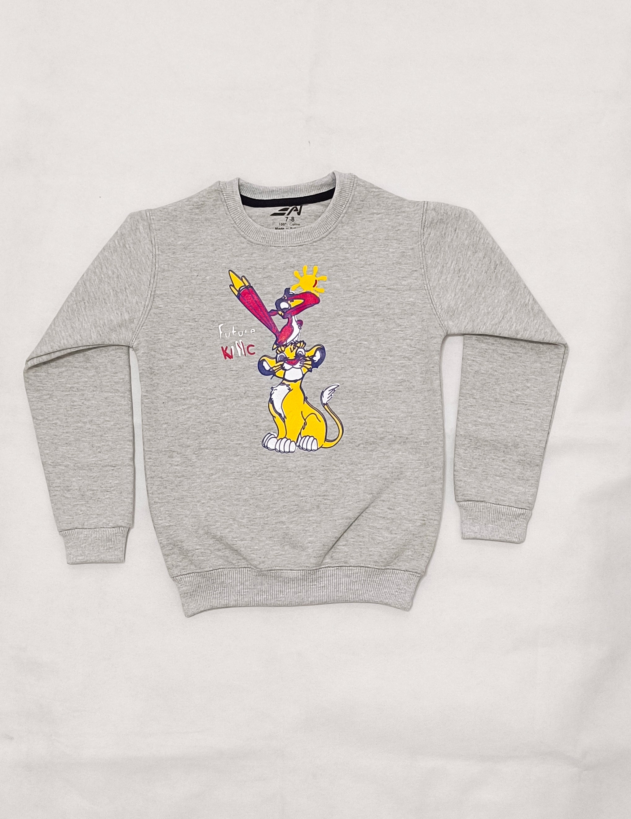 Boys Sweat Shirt